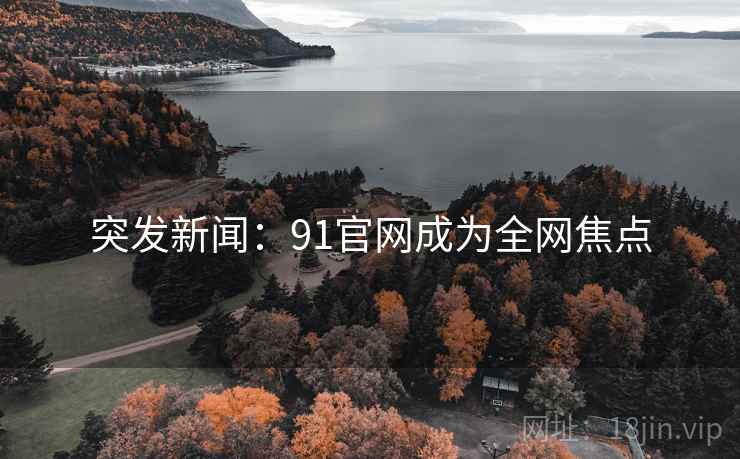 突发新闻：91官网成为全网焦点