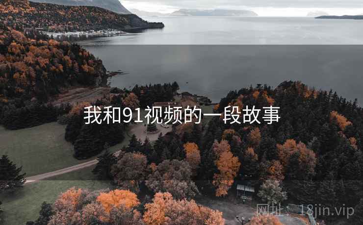 我和91视频的一段故事