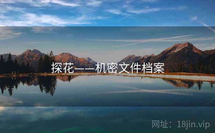 探花——机密文件档案