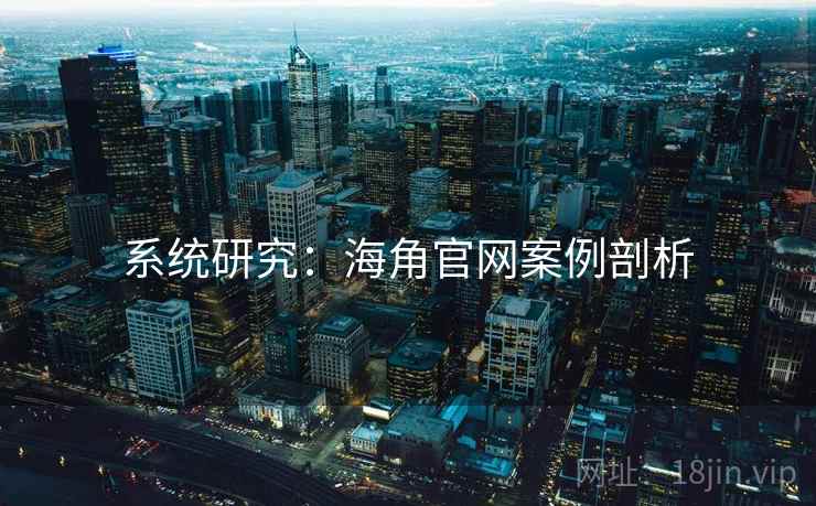 系统研究：海角官网案例剖析