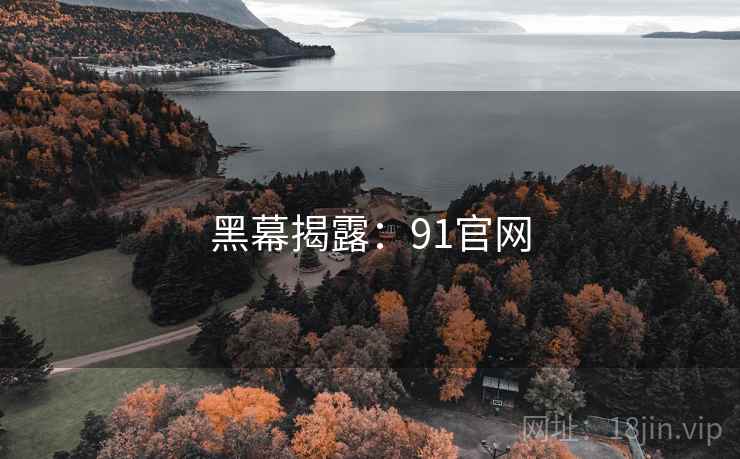 黑幕揭露：91官网