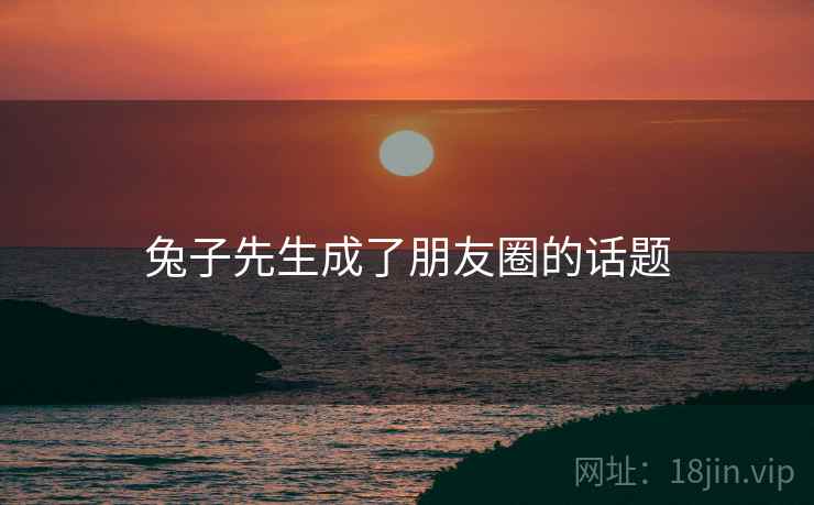 兔子先生成了朋友圈的话题