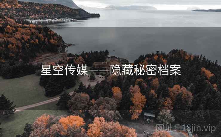 星空传媒——隐藏秘密档案