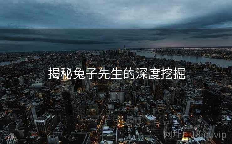 揭秘兔子先生的深度挖掘