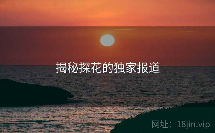 揭秘探花的独家报道