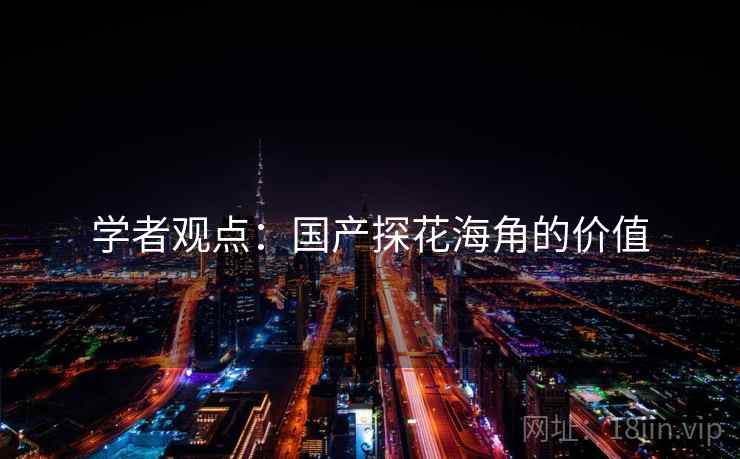 学者观点：国产探花海角的价值