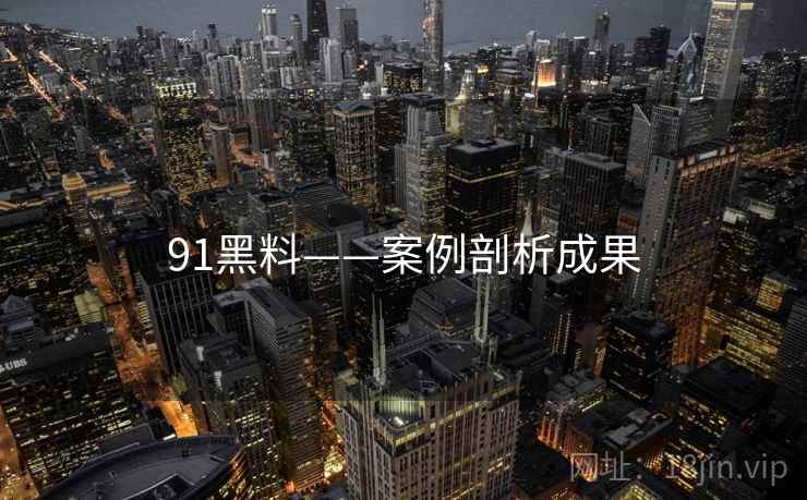 91黑料——案例剖析成果