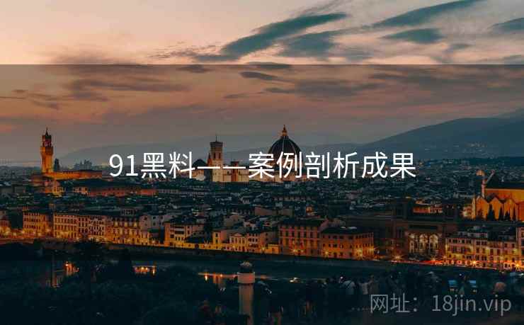 91黑料——案例剖析成果