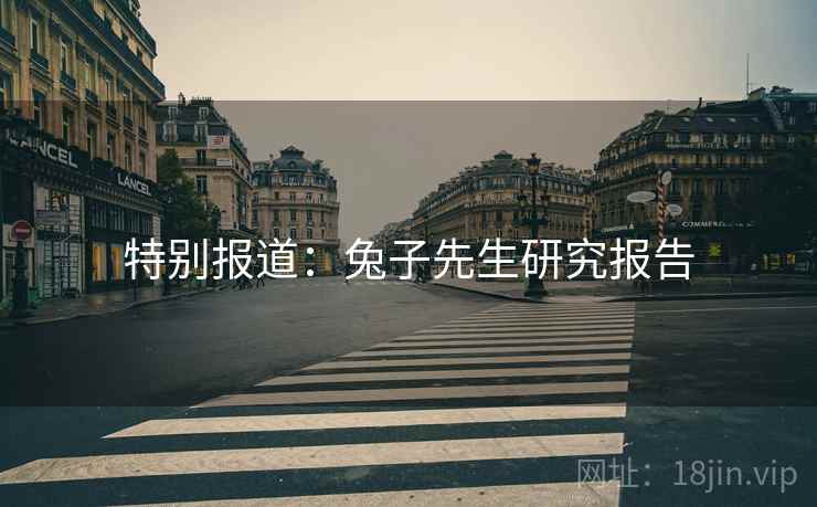 特别报道:兔子先生研究报告