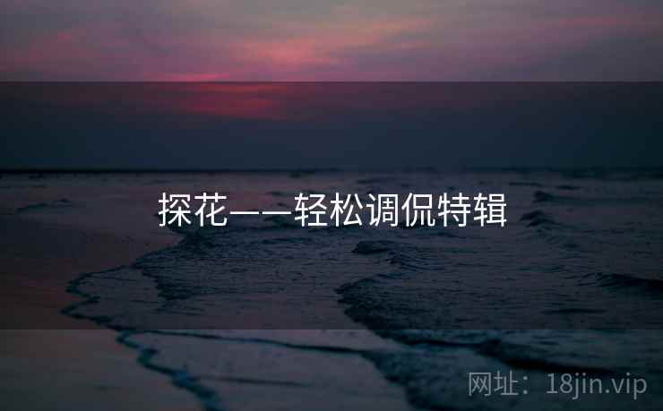 探花——轻松调侃特辑 探花——轻松调侃特辑