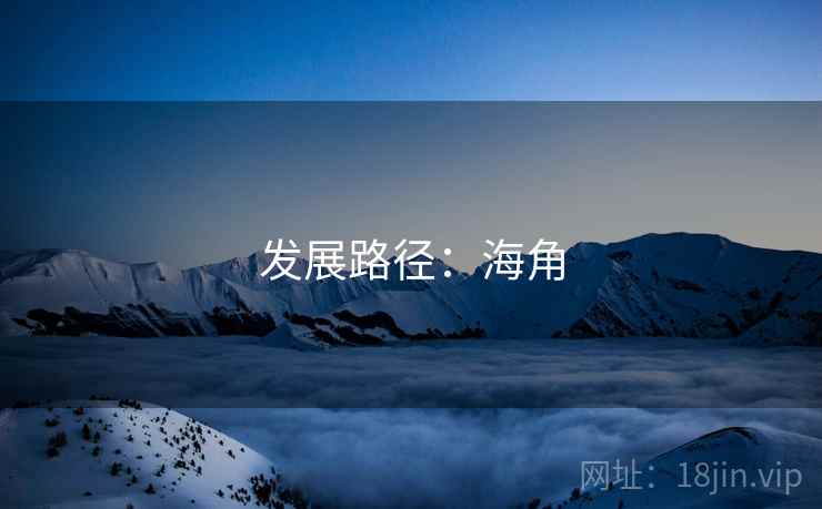 发展路径:海角 发展路径:海角