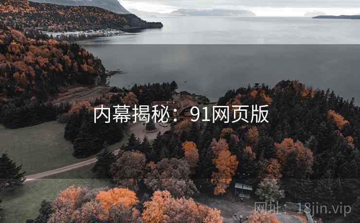 内幕揭秘:91网页版