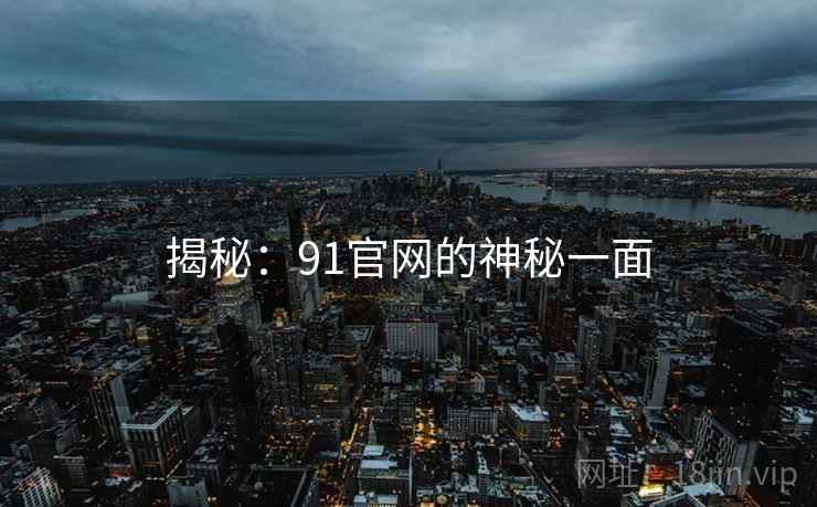 揭秘:91官网的神秘一面