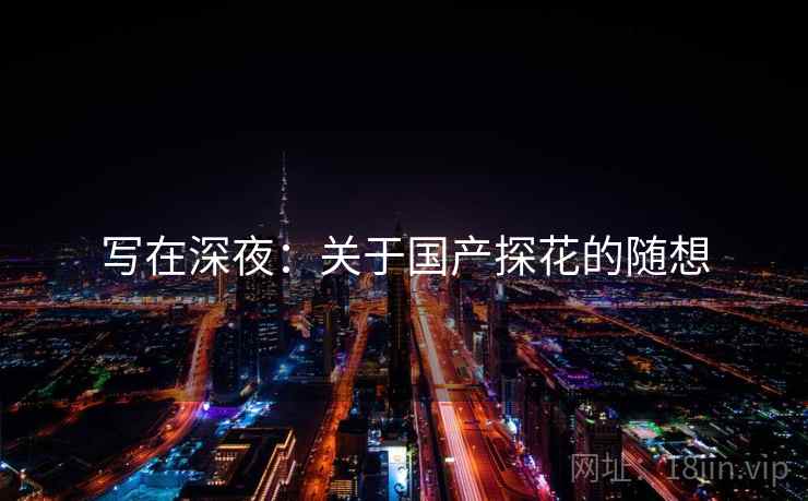 写在深夜：关于国产探花的随想