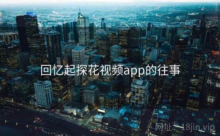回忆起探花视频app的往事 回忆起探花视频app的往事