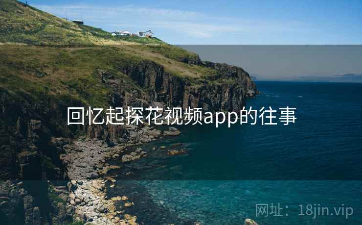 回忆起探花视频app的往事 回忆起探花视频app的往事