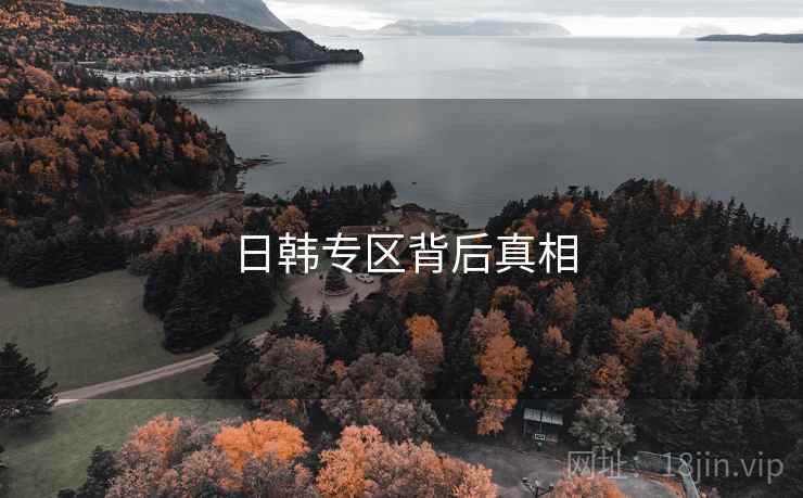 日韩专区背后真相